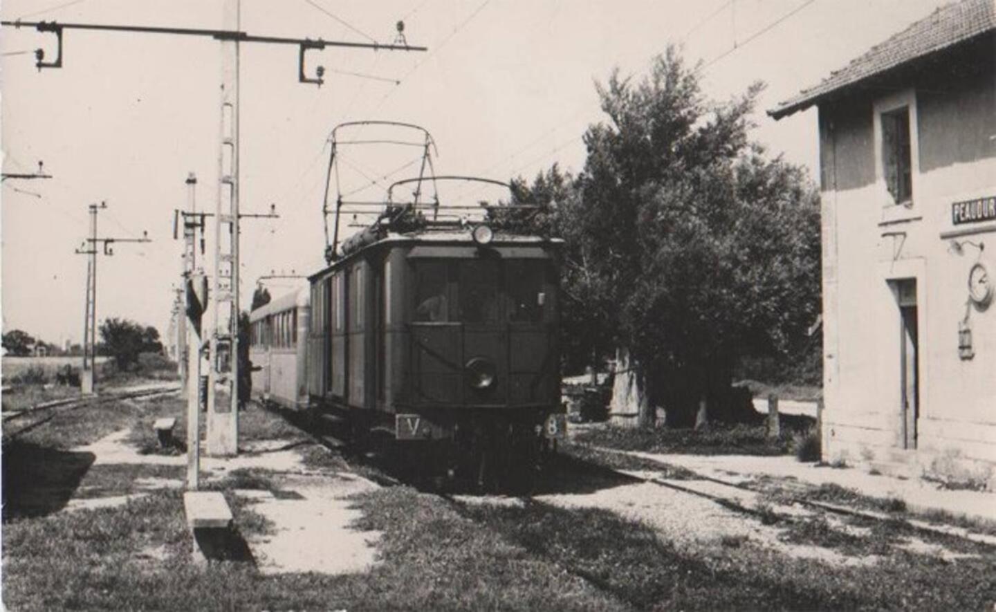 Le Mas de Peaudure au coeur de la Camargue Arles Extérieur photo