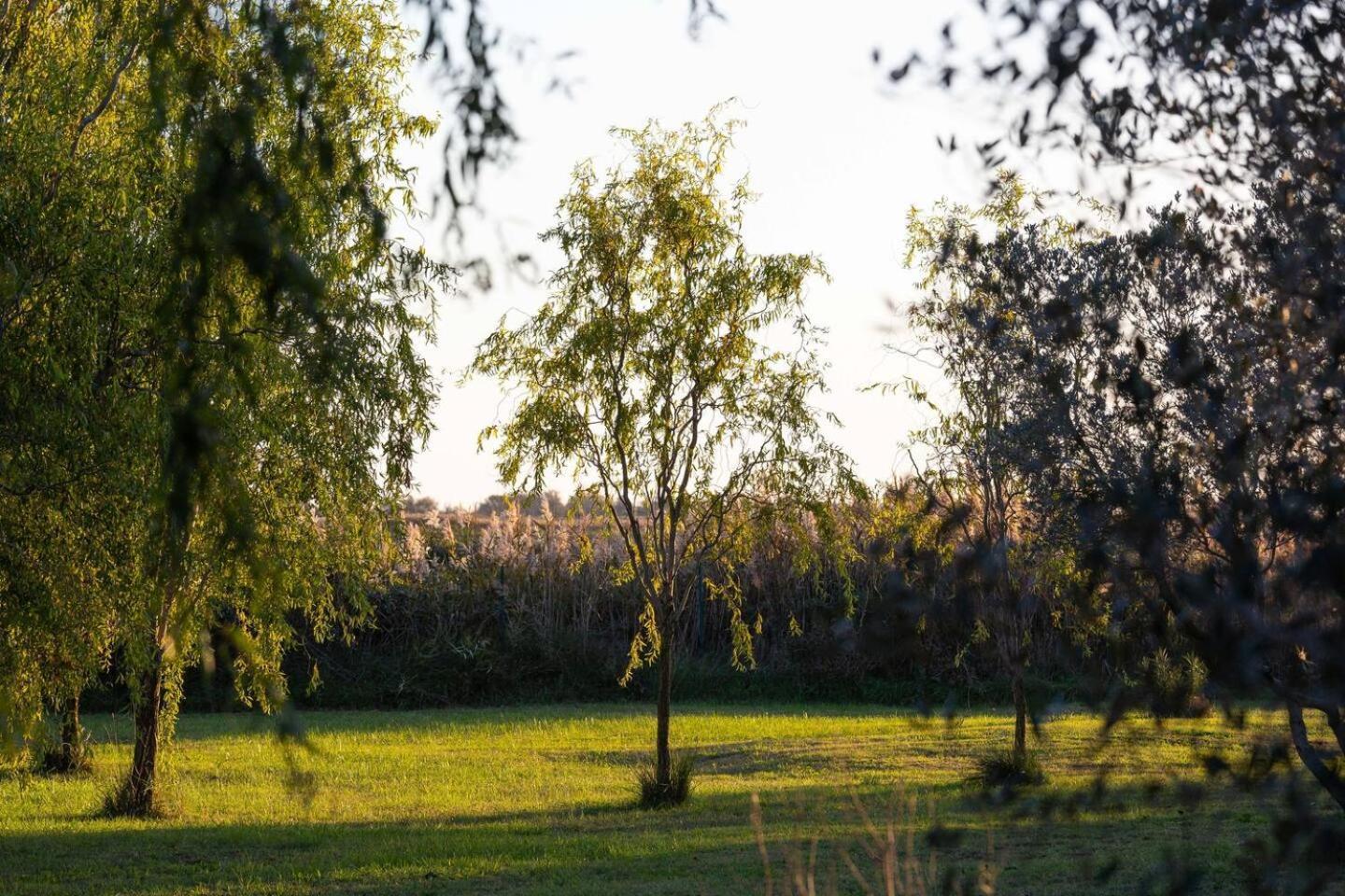 Le Mas de Peaudure au coeur de la Camargue Arles Extérieur photo